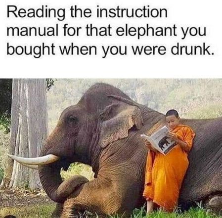 bought elephant.jpg